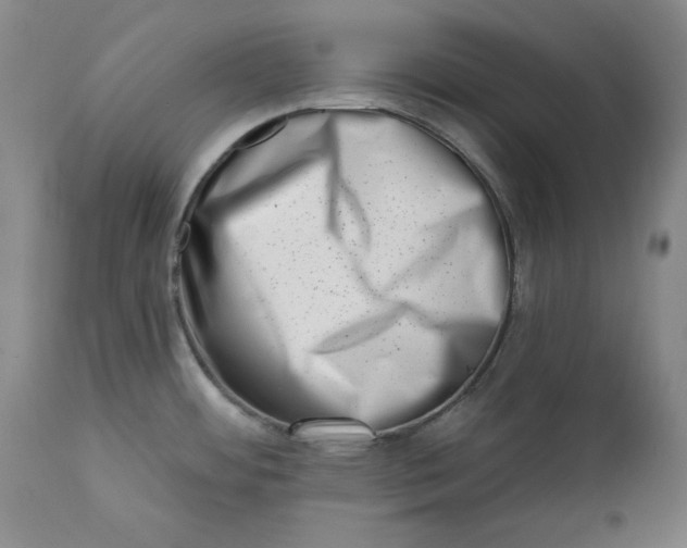 X0000113201484200910011244