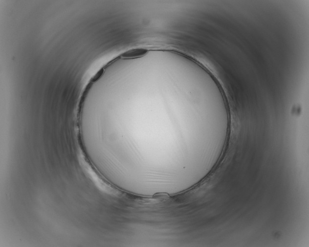 X0000113201485200910011244