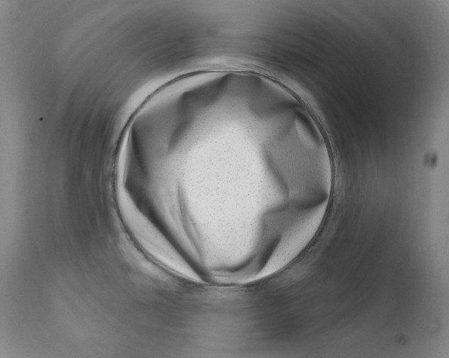 X0000113201486200910011244