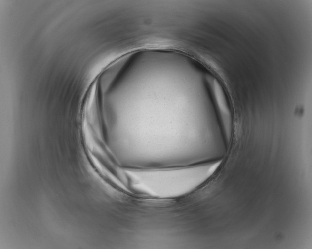 X0000113201487200910011244