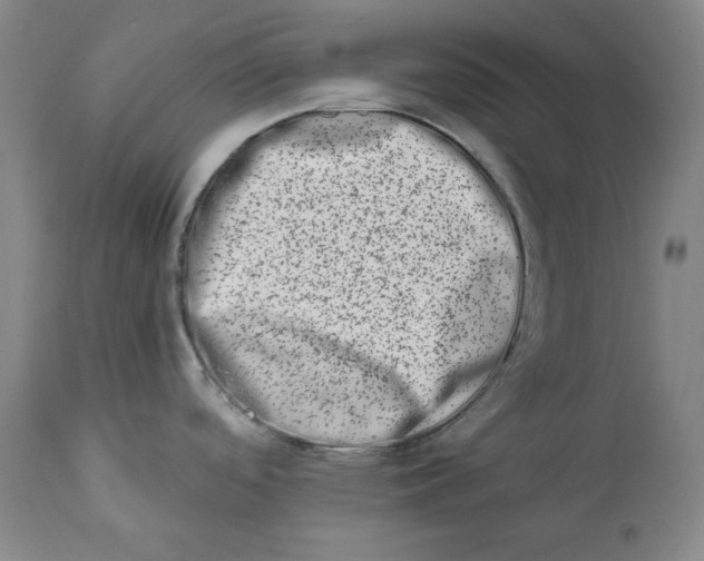 X0000113201488200910011244