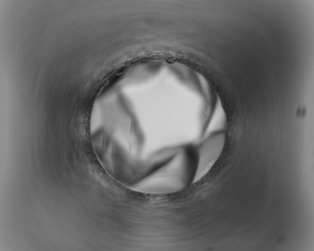 X0000113201490200910011243