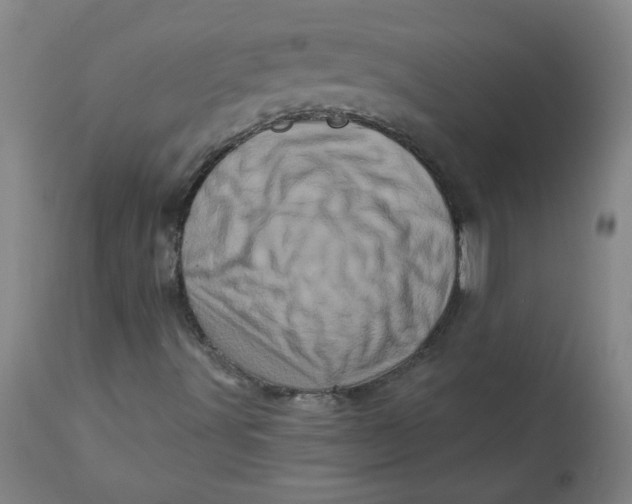 X0000113201491200910011243