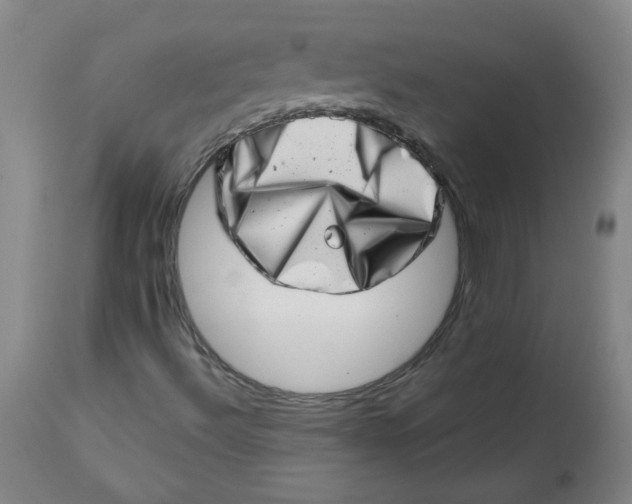 X0000113201492200910011243