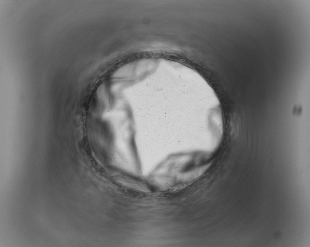 X0000113201493200910011243