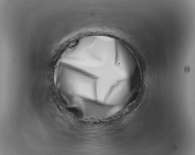 X0000113201494200910011243