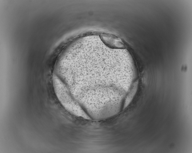 X0000113201495200910011243