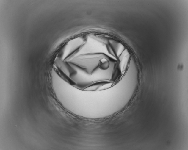 X0000113201496200910011243