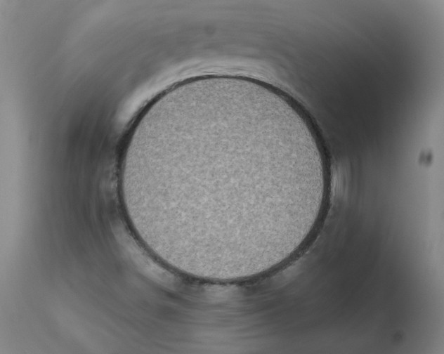 X0000113201498200910011243