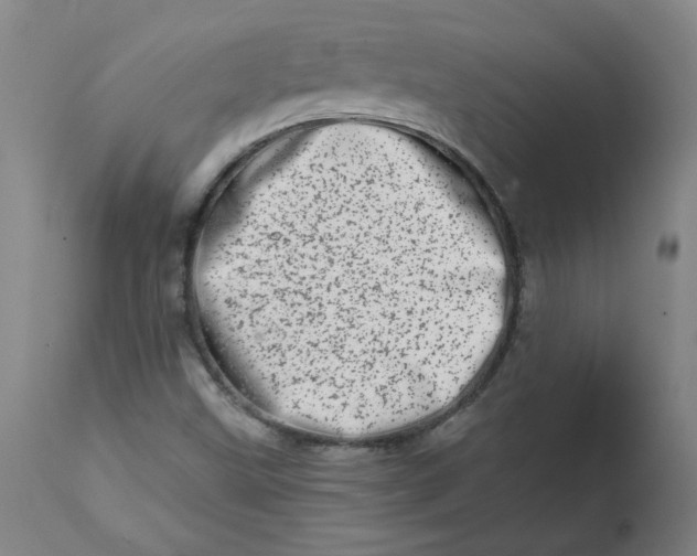 X0000113201499200910011243