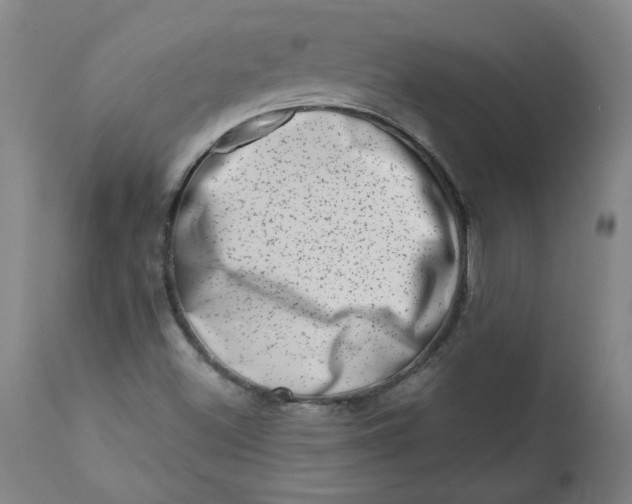 X0000113201500200910011244