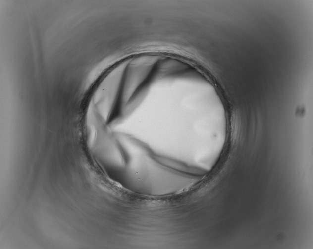 X0000113201501200910011244