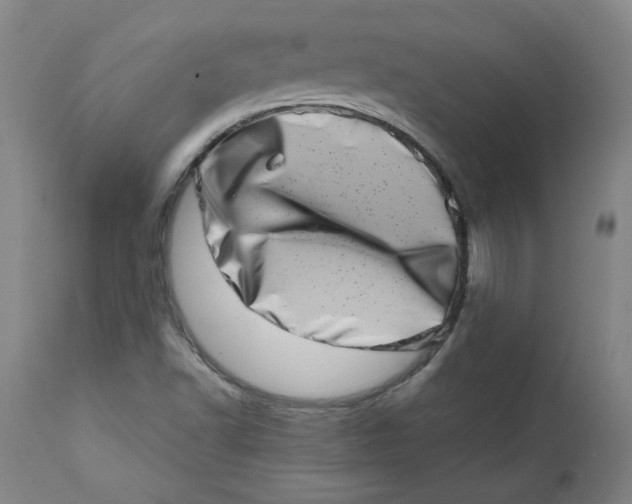 X0000113201502200910011244