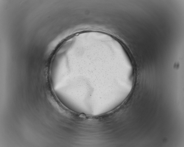 X0000113201503200910011244