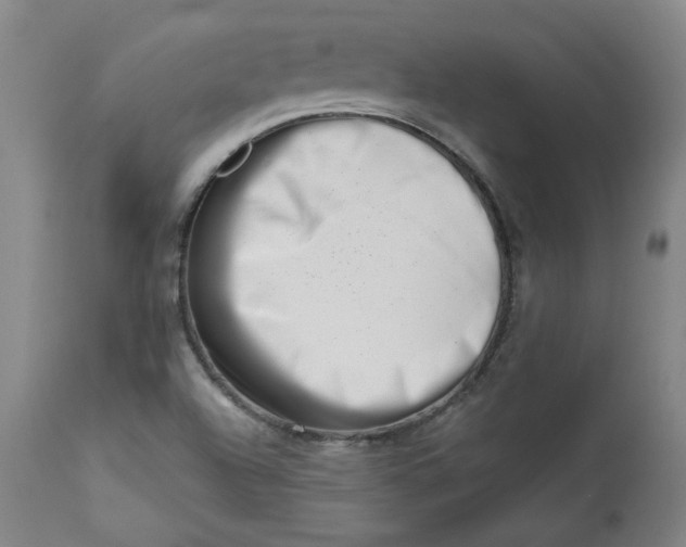 X0000113201504200910011244