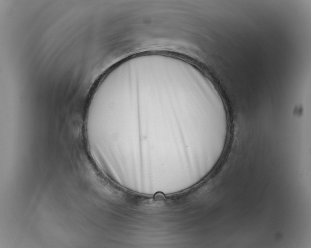 X0000113201505200910011244