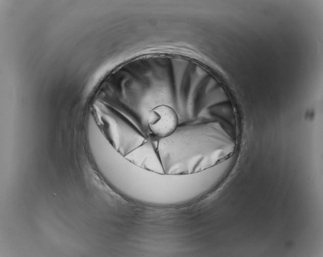 X0000113201506200910011244