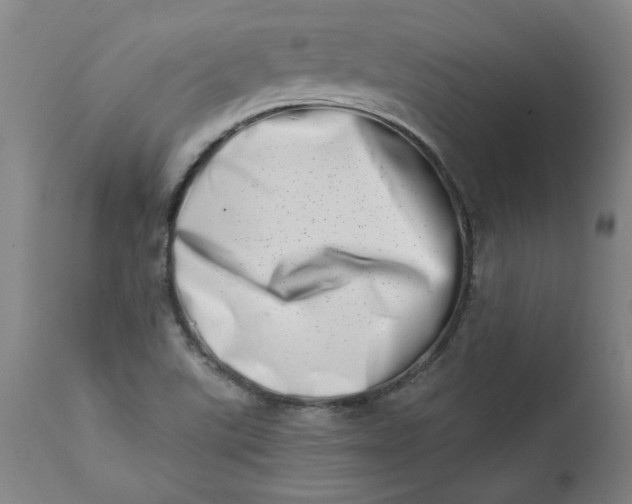 X0000113201507200910011244