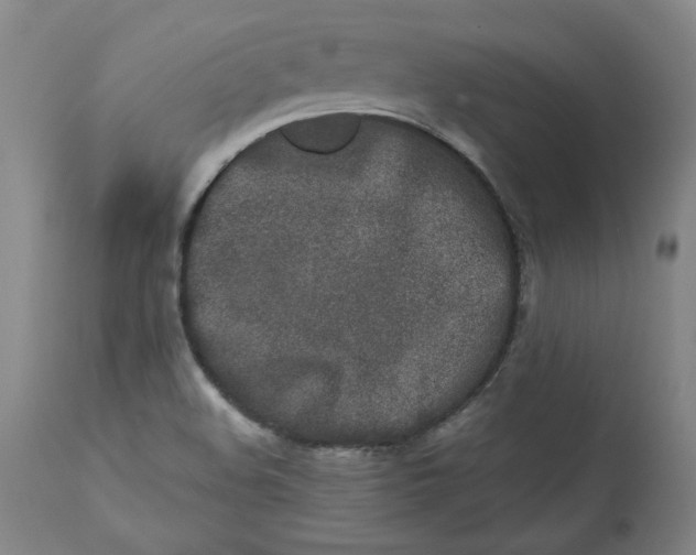 X0000113201508200910011244