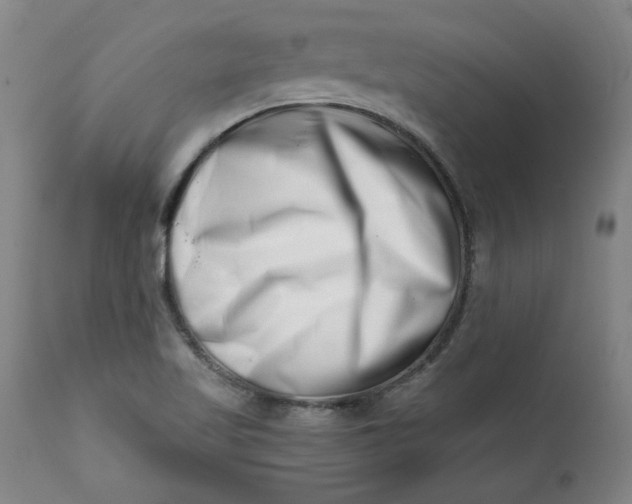 X0000113201509200910011244