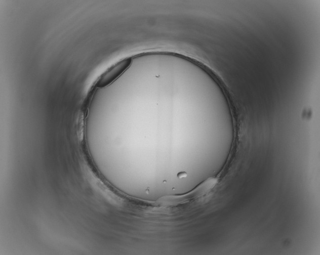 X0000113201510200910011244