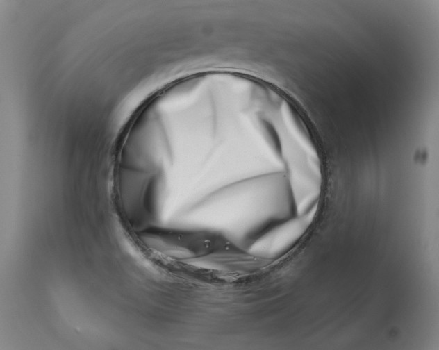 X0000113201511200910011244