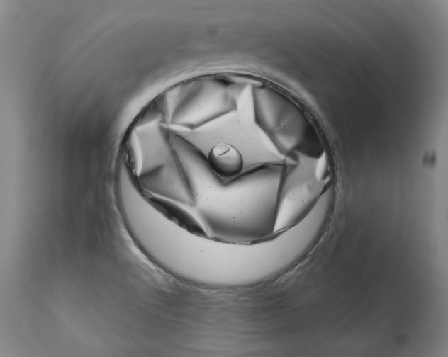 X0000113201512200910011244