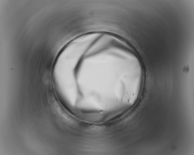 X0000113201513200910011244