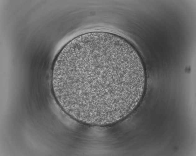 X0000113201514200910011244