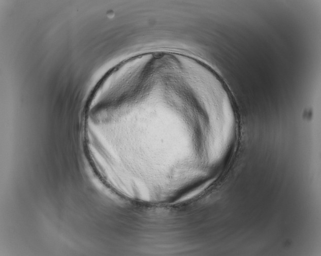 X0000113201515200910011244