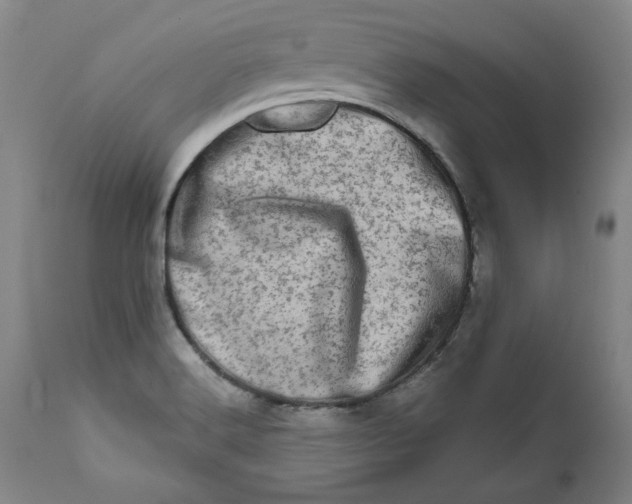 X0000113201516200910011244