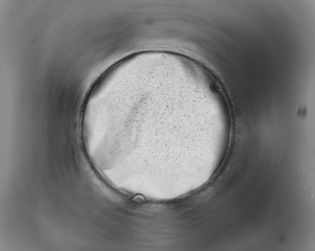 X0000113201517200910011244