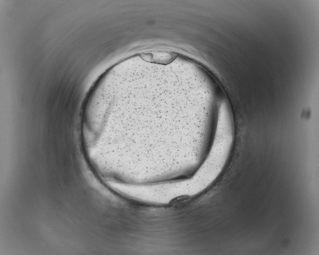 X0000113201518200910011244