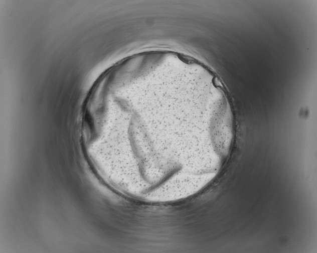 X0000113201519200910011244