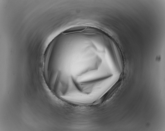 X0000113201520200910011244