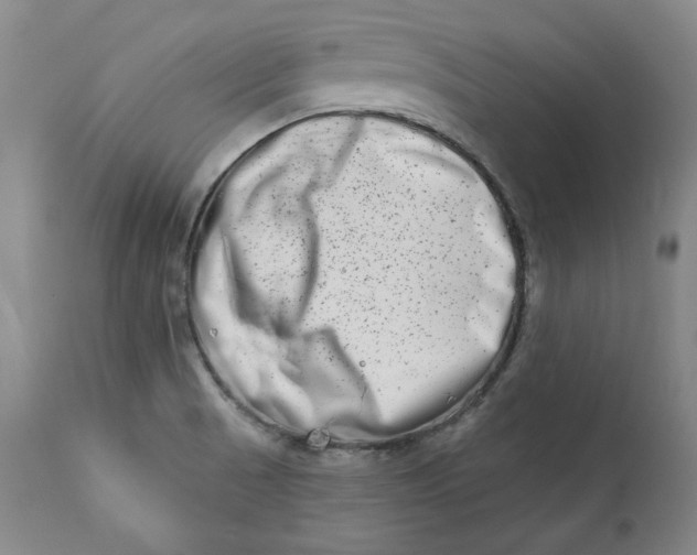 X0000113201521200910011244