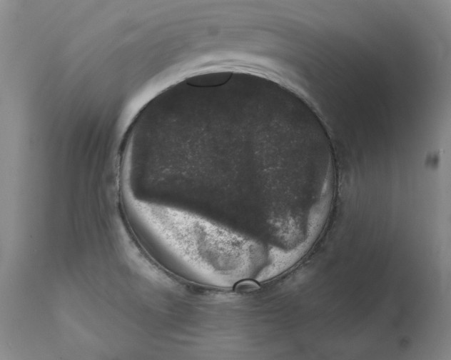 X0000113201522200910011244