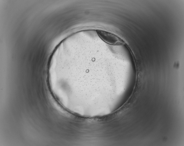 X0000113201523200910011244