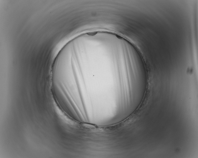 X0000113201524200910011244