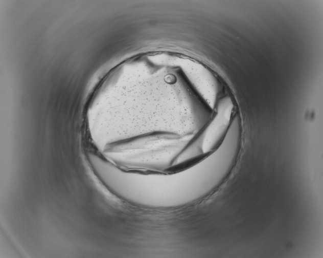 X0000113201525200910011244