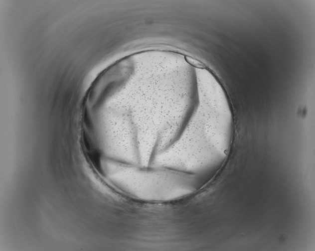 X0000113201526200910011244