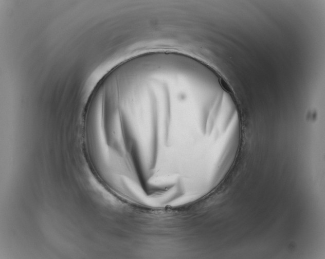 X0000113201527200910011244