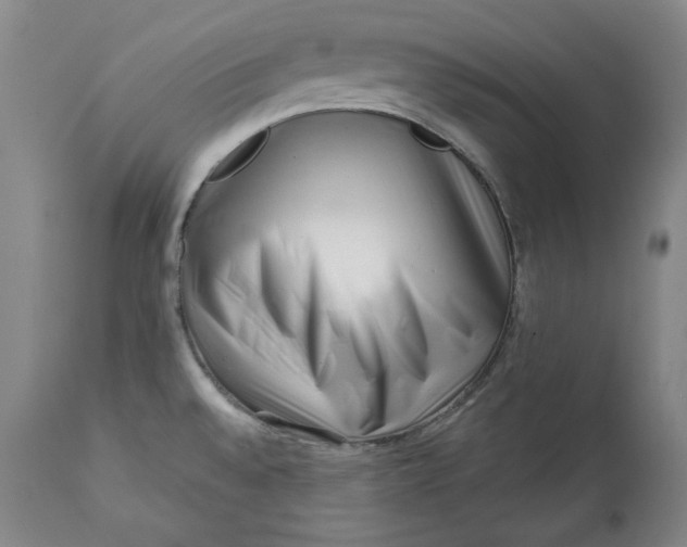 X0000113201528200910011244