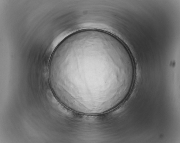 X0000113201529200910011244