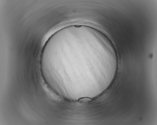 X0000113201530200910011244