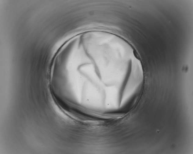 X0000113201531200910011244