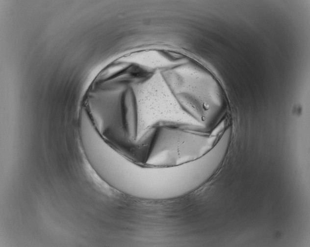 X0000113201532200910011244