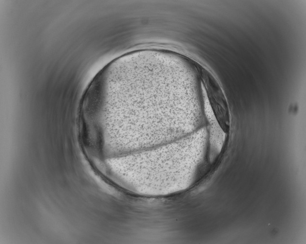 X0000113201533200910011244