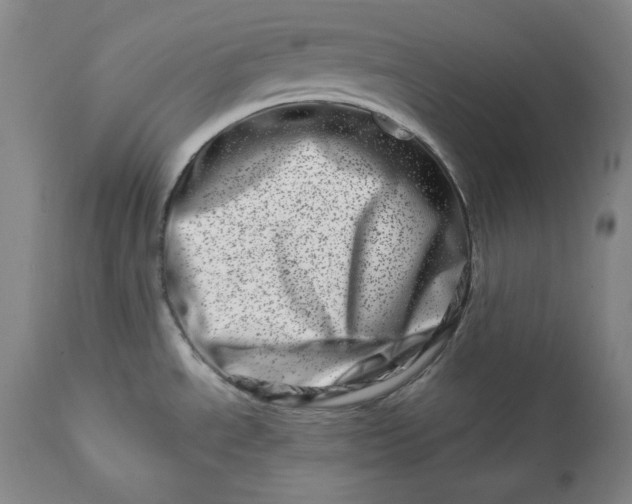 X0000113201534200910011244