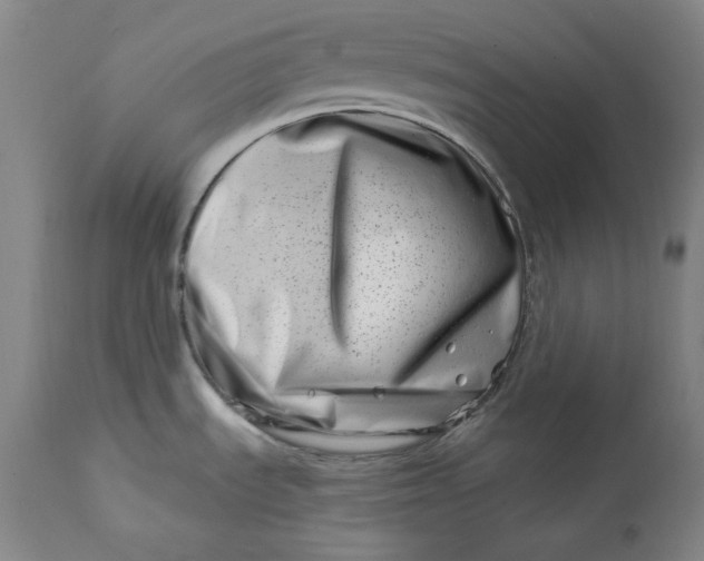 X0000113201535200910011244